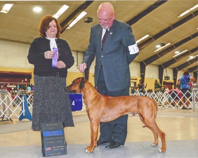 CH Silverdawn's Krystal Rajalek - Rhodesian Ridgeback